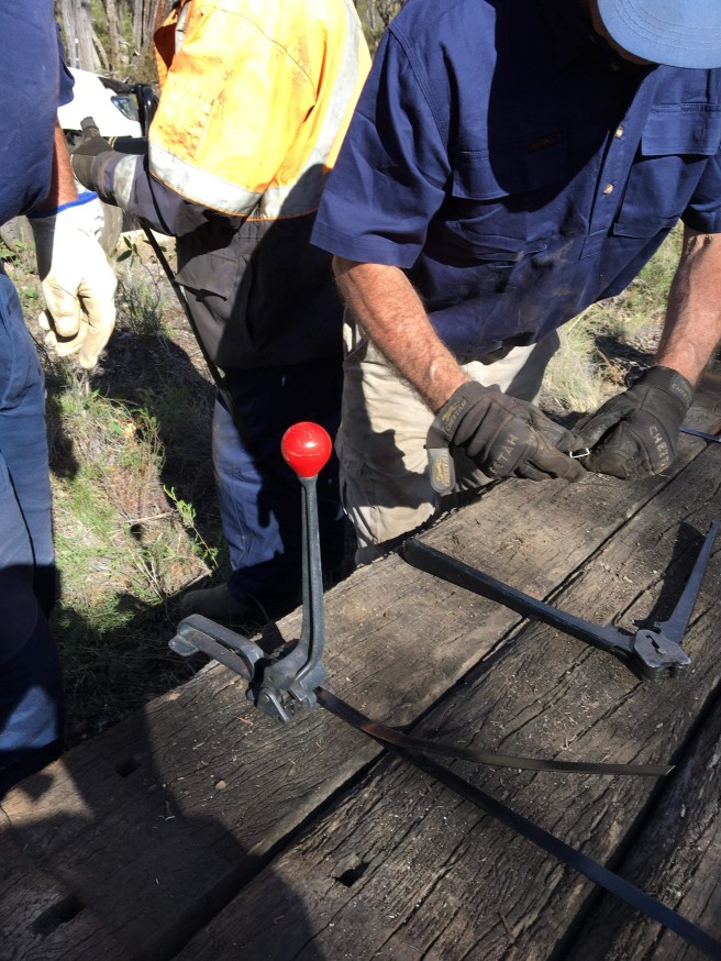 received_538952380284945-1