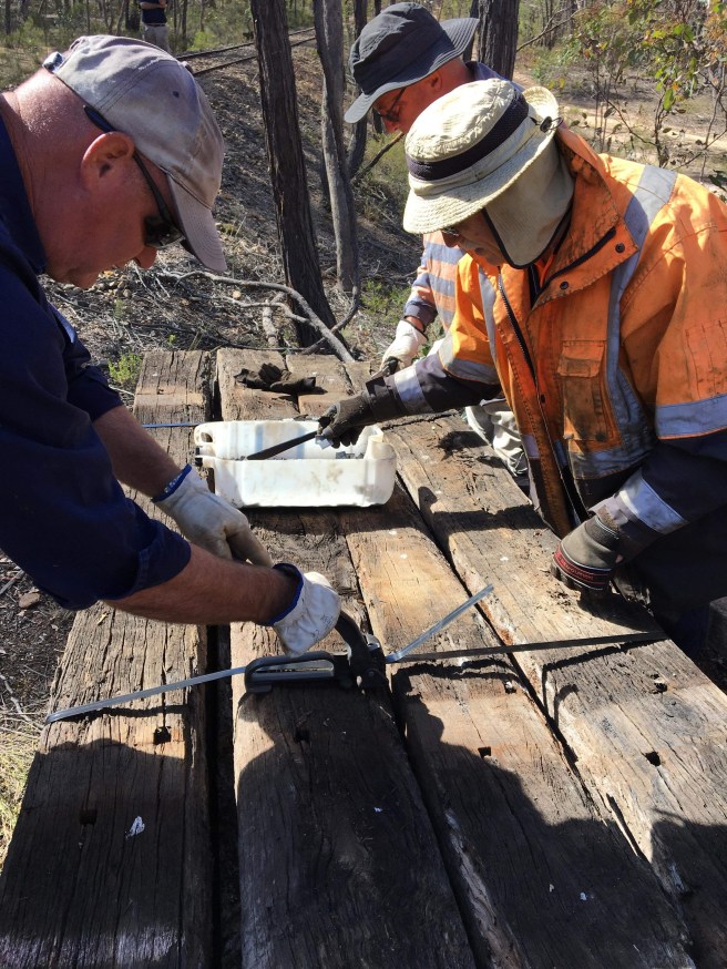 received_730043374156967-1