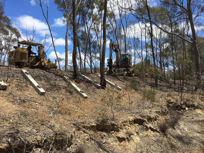 received_754639385004875