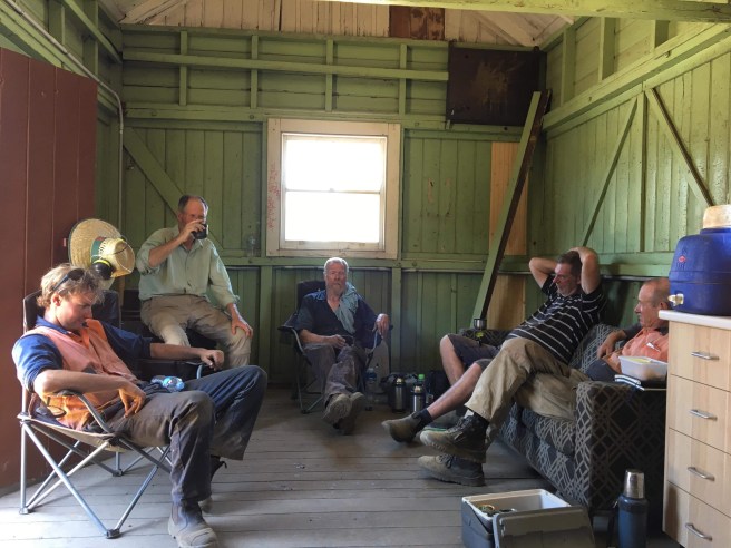 received_806474423127933